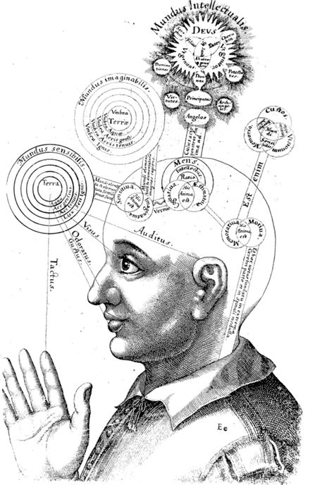 Cognition - Wikipedia