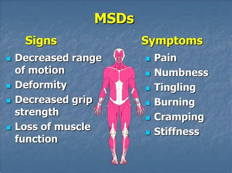 PPT - Musculoskeletal Disorders and Ergonomics in Dentistry: An Introduction PowerPoint ...