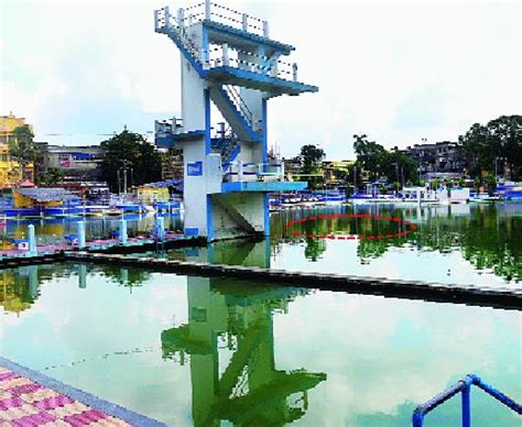 swimming pool | College Square swim class bar - Telegraph India