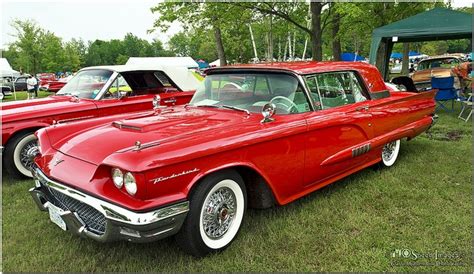 1958 Ford Thunderbird Coupe | Ford thunderbird, Ford, Thunderbird