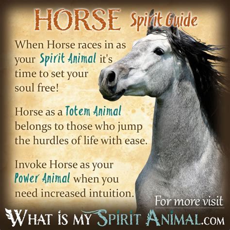 Horse Symbolism & Meaning | Spirit, Totem, & Power Animal