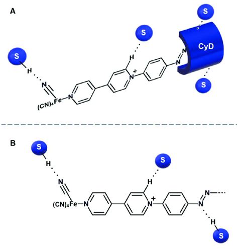 Illustration of the possible solute-solvent interactions in A) the... | Download Scientific Diagram