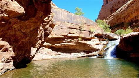 Mill Creek Canyon Utah le guide essentiel de visite