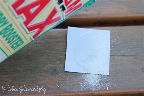 How to Make Homemade Non-Toxic Ant Poison