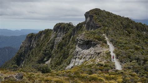 Running the Paparoa Track - The Paparoa Great Walk