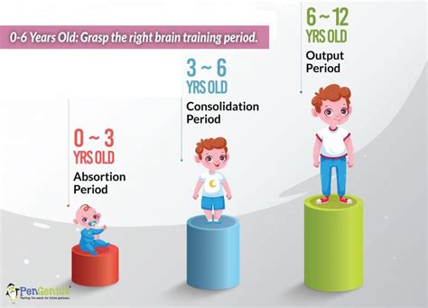 3 Stages: Golden Period of Children’s Brain Development – PenGenius Creativity Development ...