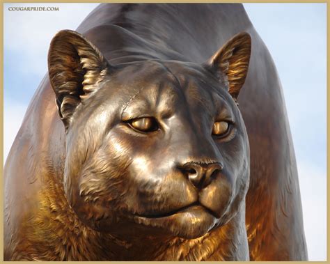 Mascot - "Cougar Pride" - custom monument for Washington State University Wsu Football, Animal ...