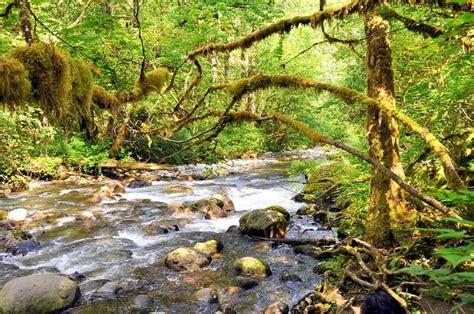 12 Best Hikes In Washington State: TripHobo