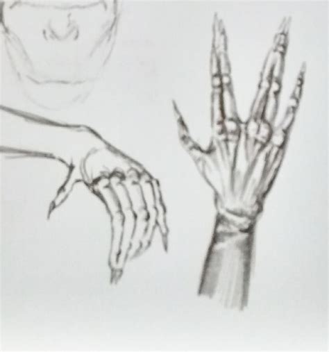 Xenomorph Hands sketch. by LINKOuTProduction on DeviantArt