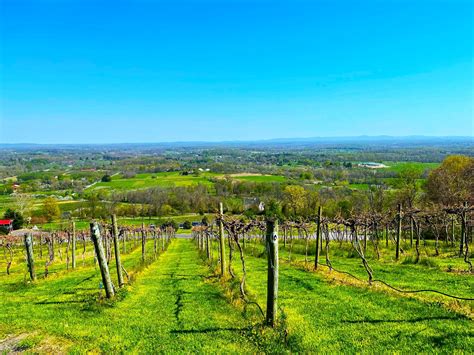 19 Best Wineries in Northern Virginia - Virginia Vacation Guide