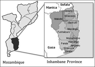 Study area: Inhassoro District, at the northern part of Inhambane... | Download Scientific Diagram