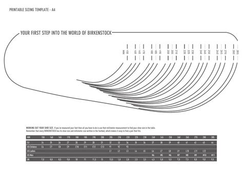 Birkenstock Printable Size Chart - Printable Word Searches