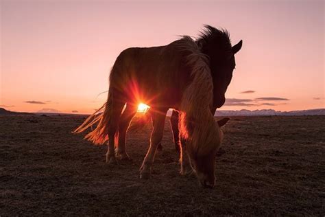 Is September a good time to visit Iceland? - Quora