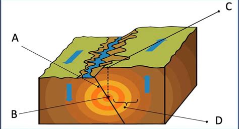 explain how and why an earthquake occurs in thorough detail. You should ...