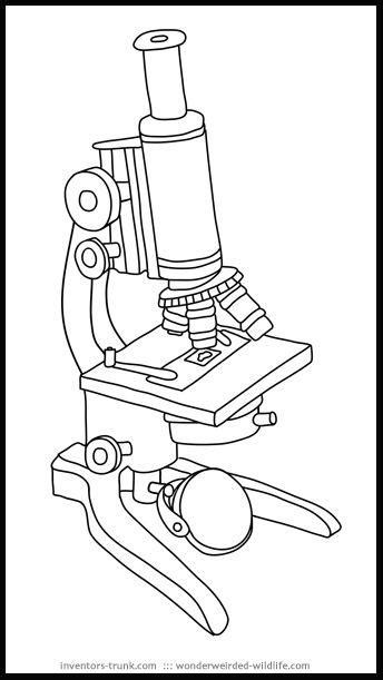 Electron microscope clipart 20 free Cliparts | Download images on ...