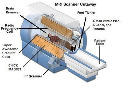 Mri Machine Diagram