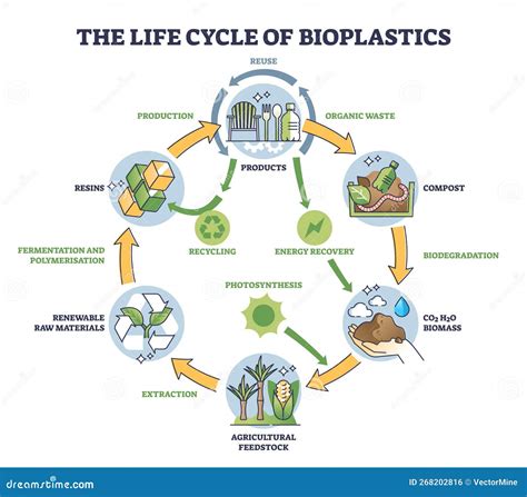 Life Cycle of Bioplastics and Reusable Materials Production Outline ...