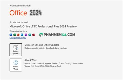 Download Office 2024 Professional Plus Preview Full + Hướng dẫn cài đặt ...