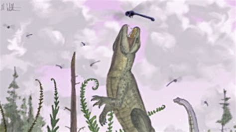 Scientists Discover Crocodile Fossil with Mammalian Teeth