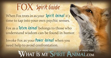 Fox Symbolism & Meaning | Spirit, Totem & Power Animal | Fox symbolism ...