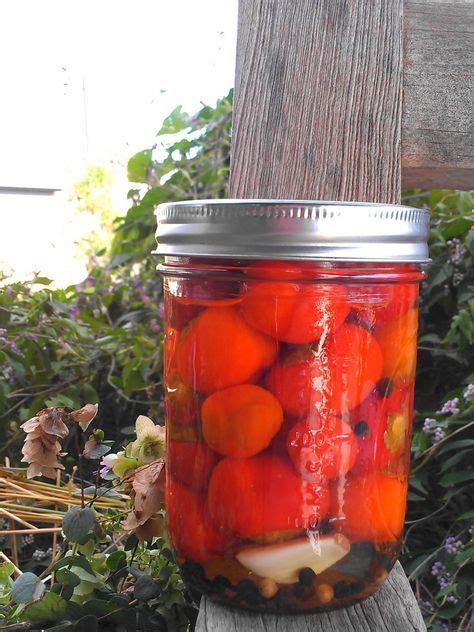 a mason jar filled with pickled tomatoes on top of a wooden post next to bushes