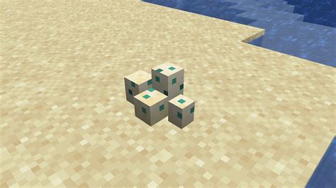 Turtle eggs in Minecraft: All you need to know