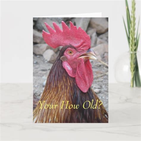 Rooster Birthday Card | Zazzle.com