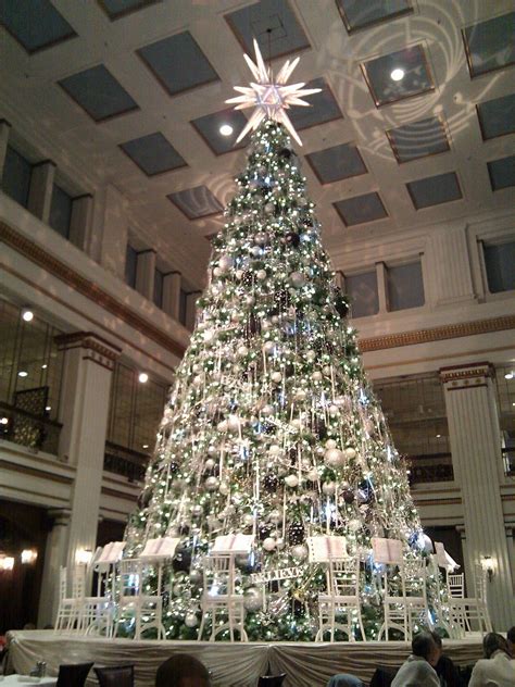 Can't wait to see the 45' tree in the Walnut Room at Macy's in Chicago ...