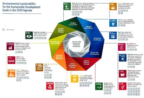 Progressive Education Setting An Agenda For Sustainable | www ...