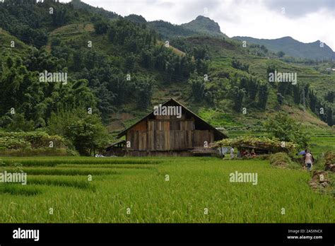 beauty of Vietnam Stock Photo - Alamy