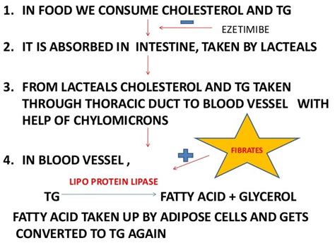 Hypolipidemic pharmacology outline