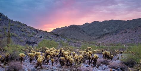 Sunrise at Piestewa Peak – Telepathic Stuntman