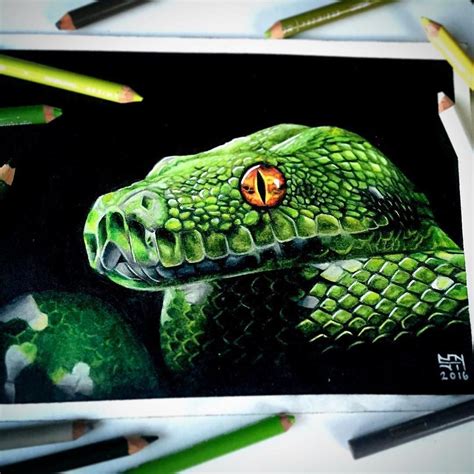 Hyper Realistic Snake Drawing