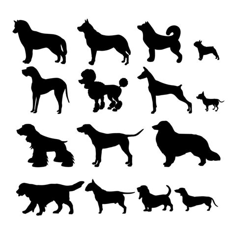 Collection of dog breeds silhouettes 3130853 Vector Art at Vecteezy