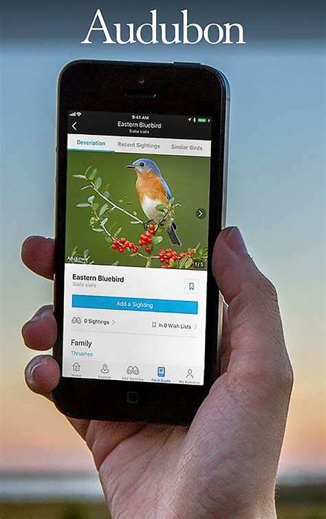 Get FREE Bird Alerts on Your Phone or Mobile Device – Black Hills Audubon Society