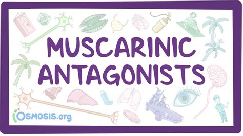 Muscarinic antagonists: Video, Causes, & Meaning | Osmosis