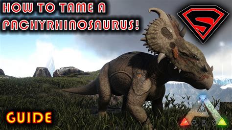 ARK HOW TO TAME A PACHYRHINOSAURUS 2020 - ALL YOU NEED TO KNOW ABOUT ...