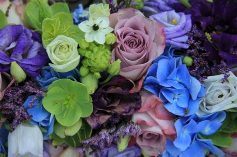 Blue Hydragea And Purple Roses In A Blue Purple Wedding Bouquet And ...