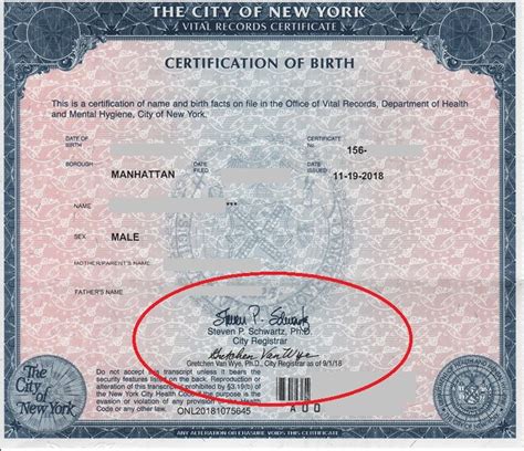 New York Birth Certificate Template