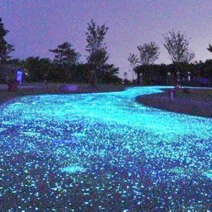 Glow-in-the-Dark Garden Pebbles Rock Garden, Garden Paths, Garden ...