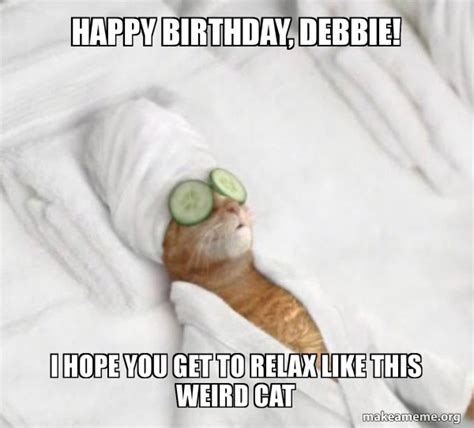 Happy birthday, Debbie! I hope you get to relax like this weird cat - Pampered Cat Meme Meme ...