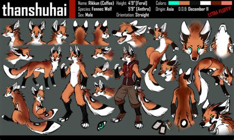 Draw reference sheet for your character design, furry avatar, vrchat ...