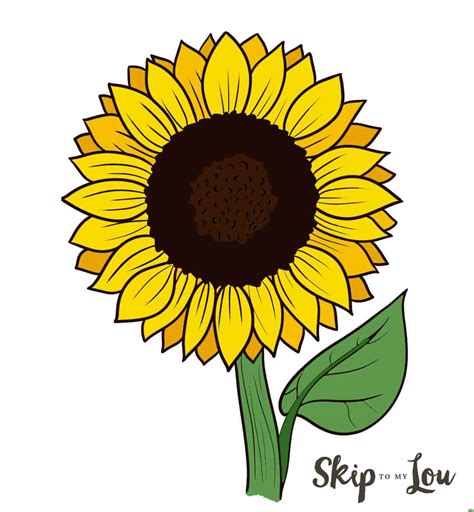 How to Draw a Sunflower | Skip To My Lou