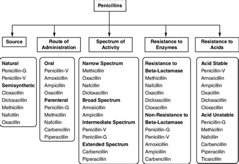 Penicillin Medication Template