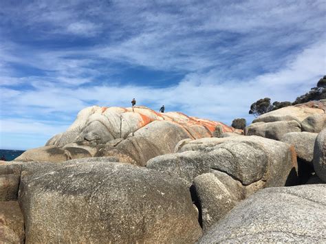 Sloop Reef Camping - Seaton Tramway Track, Binalong Bay TAS 7216, Australia