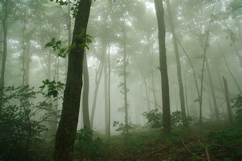 Appalachian Trail & Adventure Journaling at Outsideways | Renee Tougas