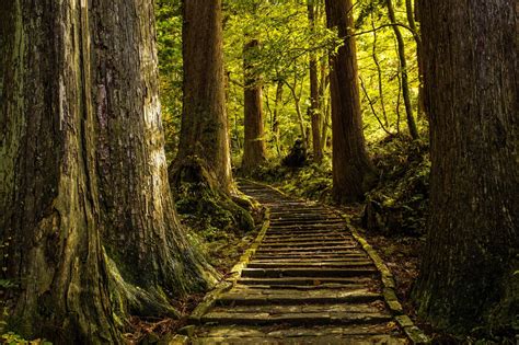 Hiking in Japan's National Parks | National Parks of Japan