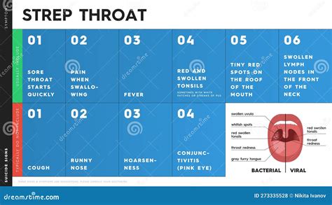 Vector Infographic with Strep Throat Symptoms. Some of Them are: Sore Throat, Fever, Pain when ...