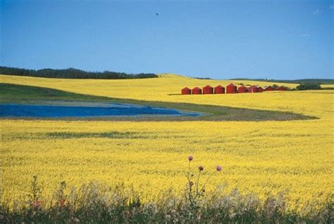 Canadian Prairies | Canadian prairies, Landscape photos, Abstract landscape