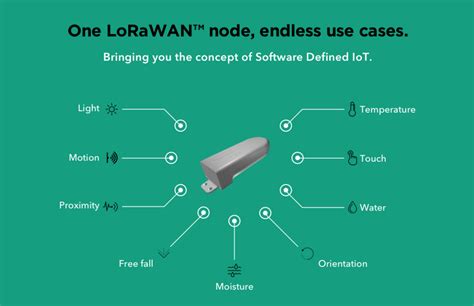 LoRaWAN® device based on the concept of Software Defined IoT